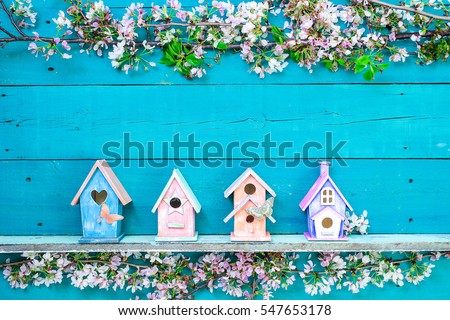 Blank wood sign with colorful birdhouses with butterfly on shelf by spring tree flowers on antique rustic teal blue wooden background; holiday background with painted copy space