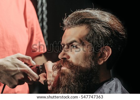 Handsome bearded man, hipster, brunette with beard and moustache has haircut or clippering in hairdressing saloon or barbershop. Barber works with clipper and comb