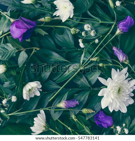 Creative layout made of green leaves and flowers. Flat lay. Nature background