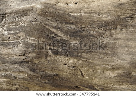 Wooden background, part of the old worm-eaten wood