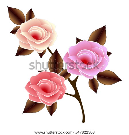 Sprig with roses on a white background.