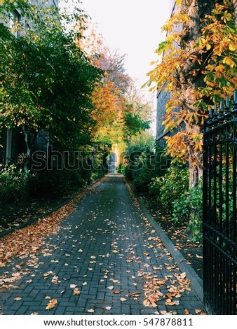 Nice autumn picture of all the Leaves just after they've changed color. Lots of bright festive colors and mysterious pathway.