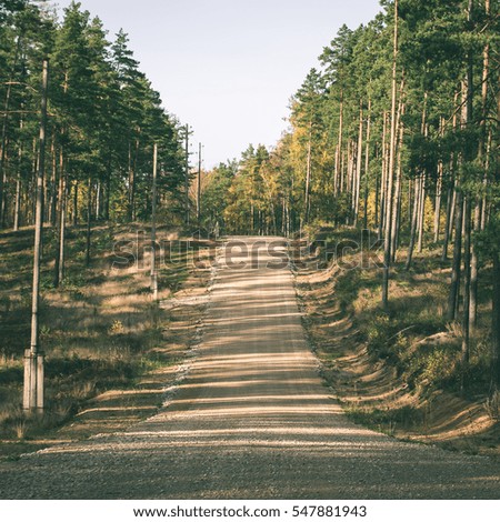 country gravel road in the forest. latvia. - instant vintage square photo