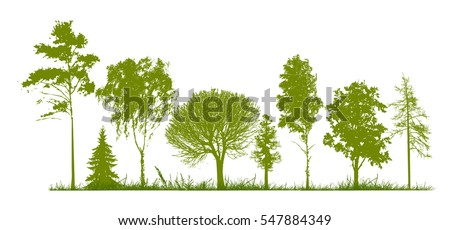 Set of trees silhouette. Vector