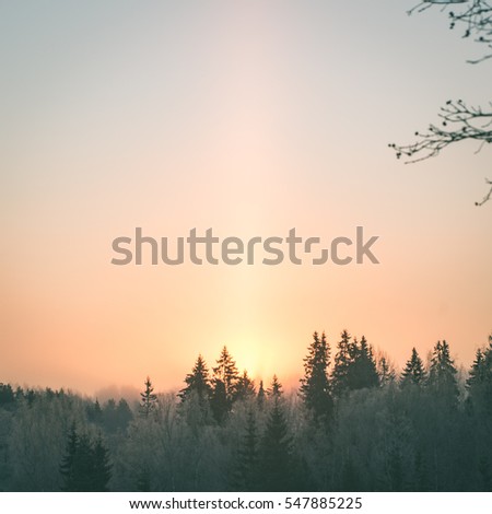 beautiful dark colorful sunrise over forest in winter frost - instant vintage square photo