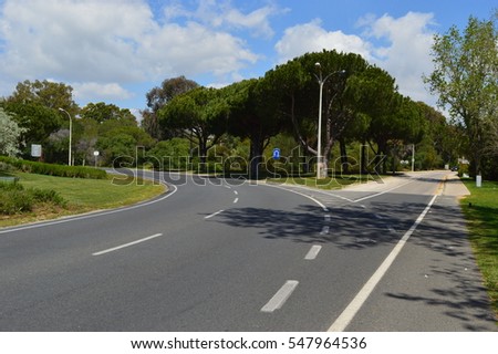 Park Outdoor beside Parkway with Trees, Palms, Grass, Flowers and Sidewalk