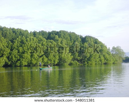 Mangrove fisherman fishing
