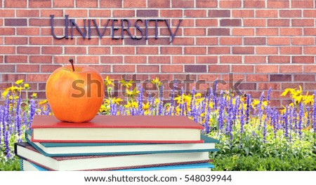 education concept with book and accessory in the front of university