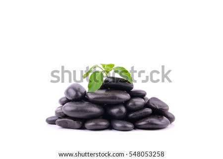 Zen stone with leaf in the middle isolated on white background