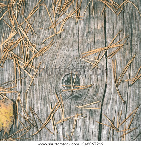 old wooden planks covered with autumn leaves - instant vintage square photo