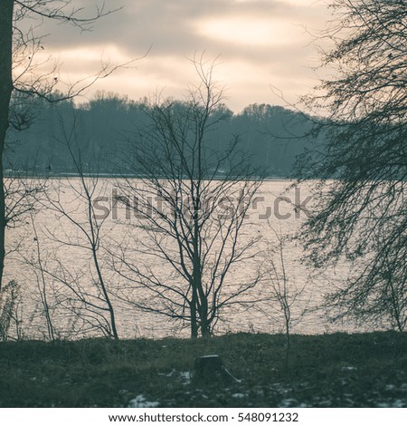 icy rural landscape with trees and land in countryside - instant vintage square photo