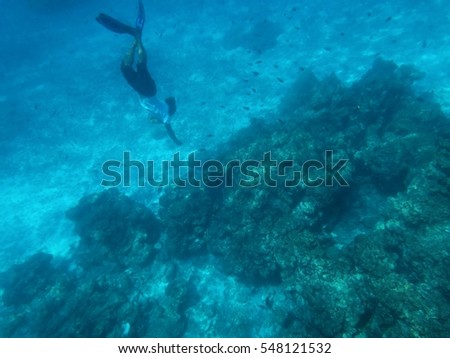 A man diving in to the blue sea to take picture of coral under water.