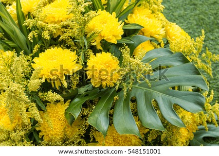 Abstract soft floral natural background from yellow flowers at sunny summer day. Close up, Select focus.