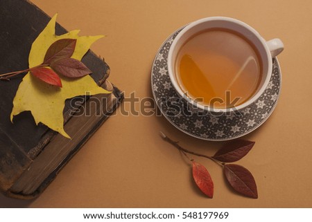 Hot cup of tea, autumn leaves and old book	