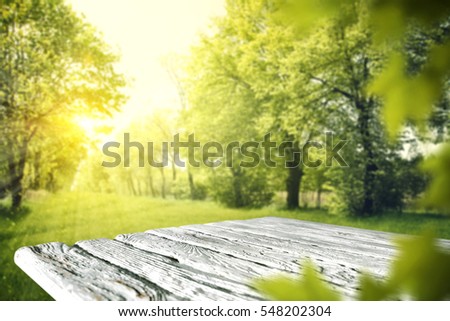 Wooden table in garden of spring time 