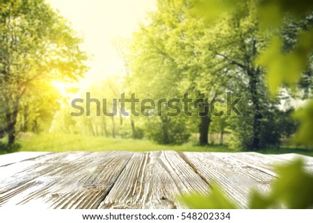 Wooden table in garden of spring time 