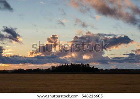 Autumn sunset and field