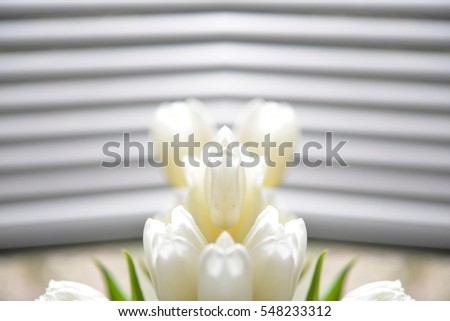 Anniversary tulip flower bouquet, Top view at bunch of fresh tulips, for wedding blog, mothers day gift, valentines love card, birthday interior decoration, magazine. Image with symmetry filter effect