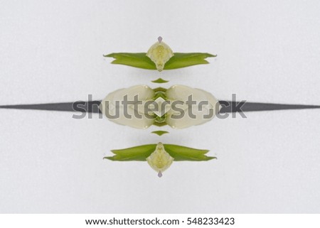 Anniversary tulip flower bouquet, Top view at bunch of fresh tulips, for wedding blog, mothers day gift, valentines love card, birthday interior decoration, magazine. Image with symmetry filter effect