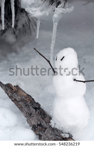 Cute picture with a snowman.
