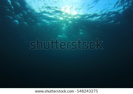 Sunlight shines through ocean surface into deep blue sea