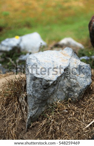 Stone, grass, blurring the background.