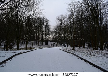 View of the road in city Park in winter