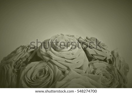 Arrangement of blooming roses. Romantic bouquet with withering flowers for birthday gift, mothers day, valentines love present, wedding bridal decoration. Image with monochrome vintage filter effect.