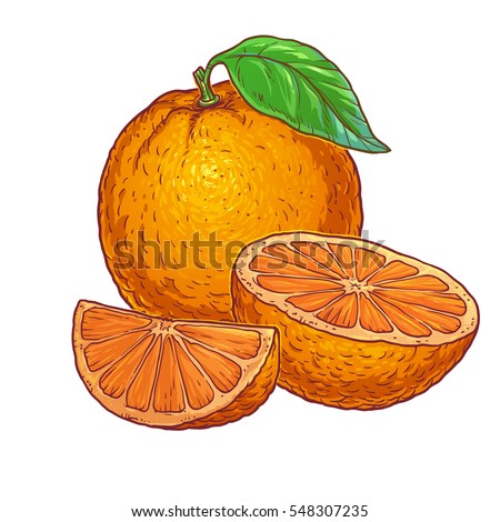 Juicy orange on a white background