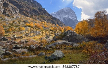 This is colorful landscape in Caucasus mountains in fall