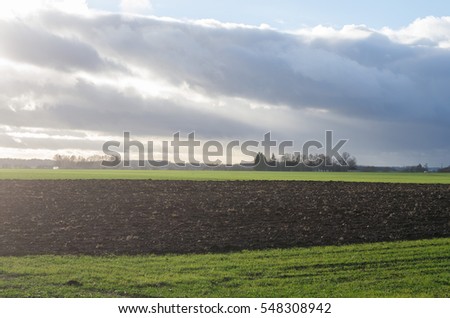 Green field and late autumn day