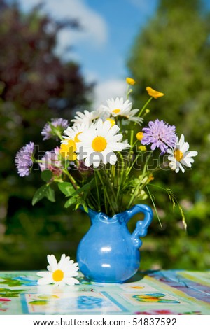 Wild flowers as daisies and clover in blue vase outdoor
