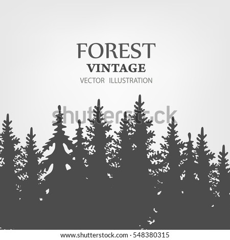 Coniferous forest silhouette template. landscape. Vector illustration. Background