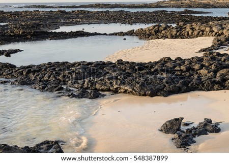 Volcanic black stones and white sand in El Cotillo lagoons, Fuerteventura in Canary Islands, Spain