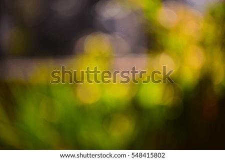Artistic style - Defocused green tree abstract texture ,bokeh of lights on tree leaves in the background with blurring lights for your design