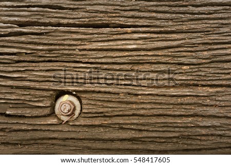 Close-up bright wood texture. High resolution picture of blank space for vinyl card roll up tidy ornate creativity seamless design peel teak angle view ideas streak chic fiber finish grunge art warm
