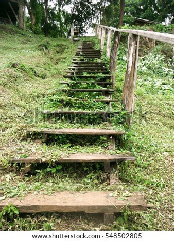 Close up the old wooden stairs in the green forest climbing to natural mountain
