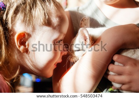 Two children - a boy and a girl playing with a white chinchilla