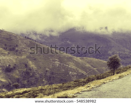 Nature Northern Portugal fields and mountains in fog. Atmospheric Photo