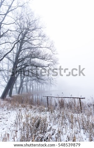 Vertical photo of winter landscape with heavy morning fog. Alley of trees grow next to pond. Grass and reed covered by snow. Wooden barrier in front of pond. Sky is covered by fog.