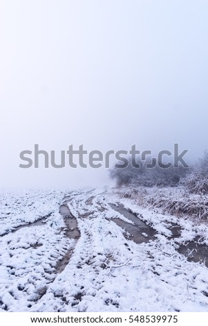 Vertical photo of winter landscape with heavy morning fog. Significantly rutted damaged path is on the edge of field from one side. Second side is covered by reed and bush.