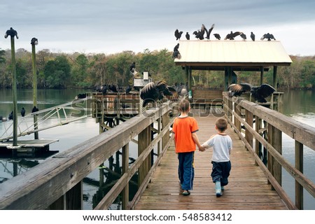 Two boys holding hands go forward between the huge and terrible birds - black vultures.  Manatee Springs State Park,  Florida, USA