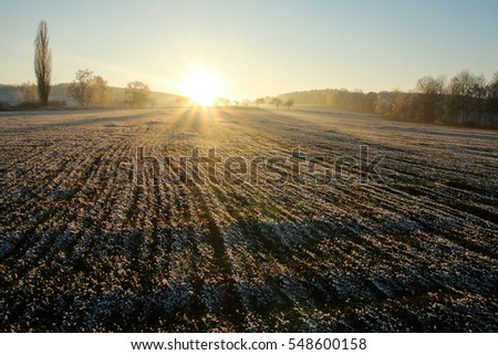 A picture from the late afternoon on the frozen field. The sun is going down behind the trees. 