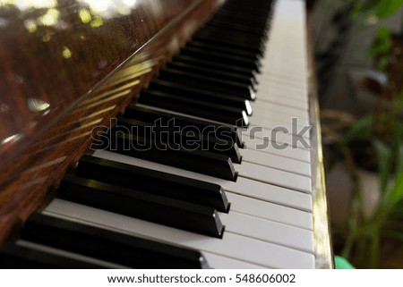 Piano. Slovakia