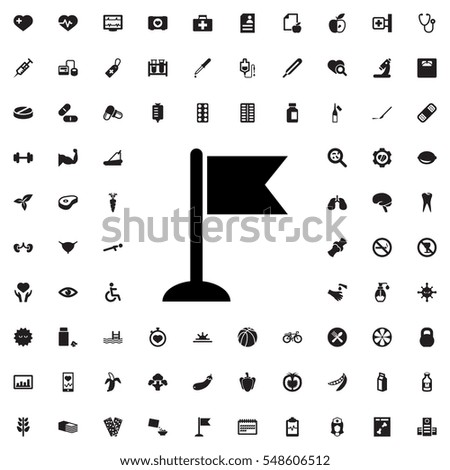 flag icon illustration isolated vector sign symbol