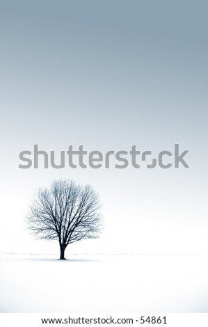 Winter solitude Royalty-Free Stock Photo #54861