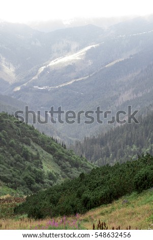 View to deep valley Slovak mountians Hiking picture Slovak nature