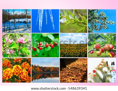 blank with different twelve colored images of nature for calendar