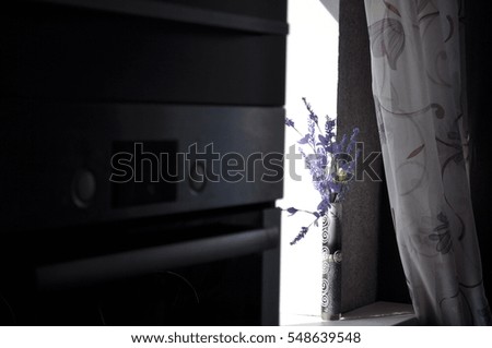 Purple flower in darkness room 
