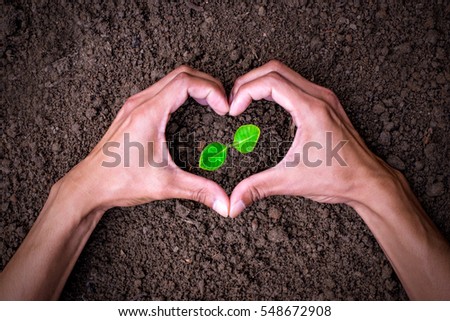 Two hands of the men making heart-shaped surrounding the seedlings are growing. Royalty-Free Stock Photo #548672908